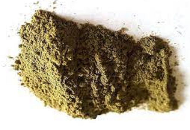 obrázek kratomu